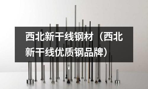 西北新干線鋼材（西北新干線優(yōu)質(zhì)鋼品牌）