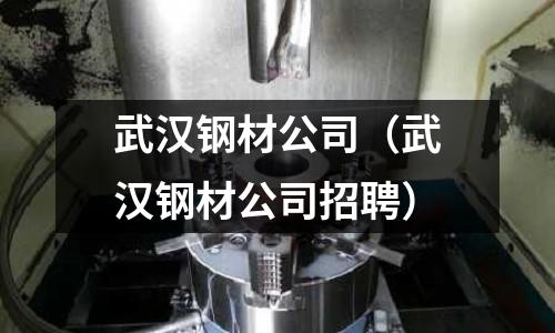 武漢鋼材公司(武漢鋼材公司招聘)
