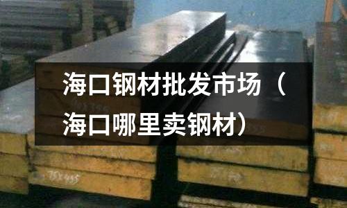 海口鋼材批發市場(海口哪里賣鋼材)
