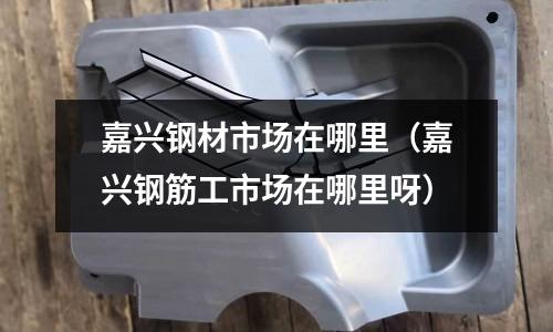 嘉興鋼材市場在哪里（嘉興鋼筋工市場在哪里呀）
