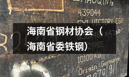 海南省鋼材協(xié)會(海南省委鐵鋼)