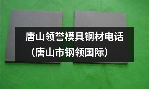 唐山領譽模具鋼材電話（唐山市鋼領國際）