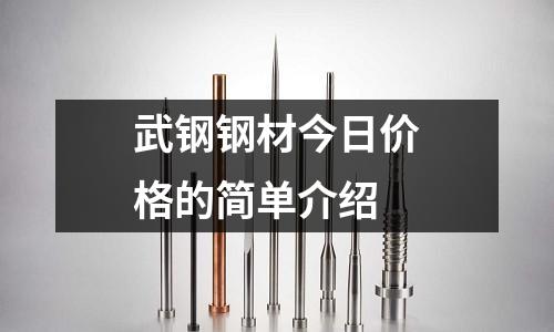 武鋼鋼材今日價格的簡單介紹