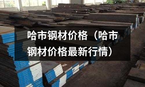 哈市鋼材價格（哈市鋼材價格最新行情）