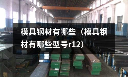 模具鋼材有哪些（模具鋼材有哪些型號r12）