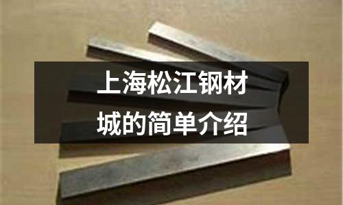 上海松江鋼材城的簡單介紹