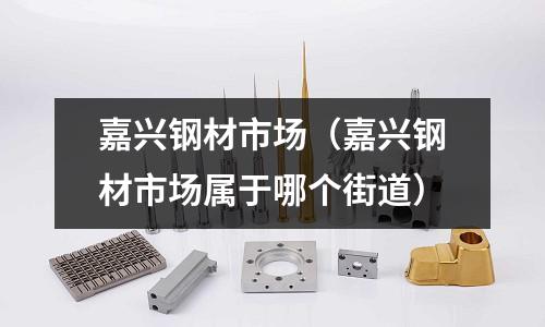 嘉興鋼材市場（嘉興鋼材市場屬于哪個街道）