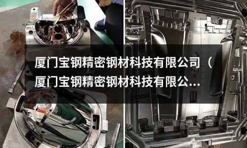 廈門寶鋼精密鋼材科技有限公司（廈門寶鋼精密鋼材科技有限公司簡介）