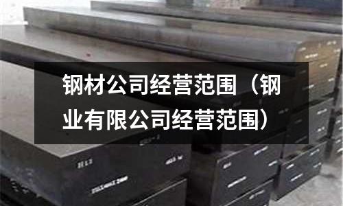 鋼材公司經(jīng)營范圍（鋼業(yè)有限公司經(jīng)營范圍）