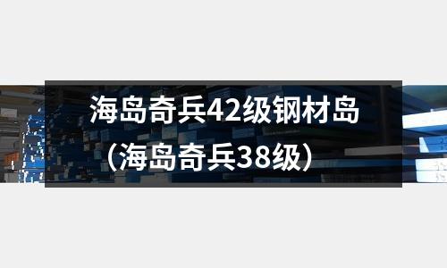 海島奇兵42級鋼材島（海島奇兵38級）