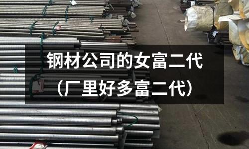鋼材公司的女富二代（廠里好多富二代）