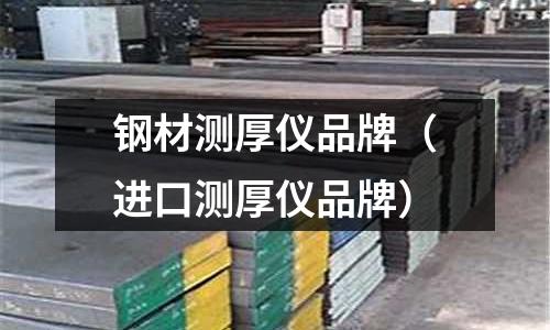 鋼材測(cè)厚儀品牌（進(jìn)口測(cè)厚儀品牌）