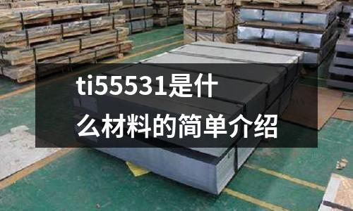 ti55531是什么材料的簡單介紹