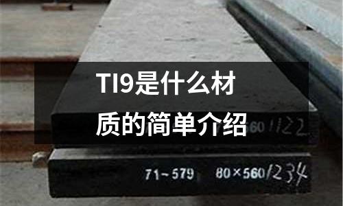 TI9是什么材質(zhì)的簡單介紹