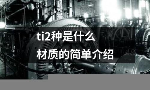 ti2種是什么材質的簡單介紹