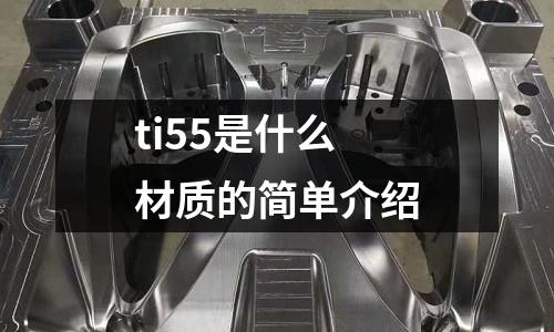 ti55是什么材質的簡單介紹