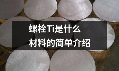 螺栓Ti是什么材料的簡單介紹
