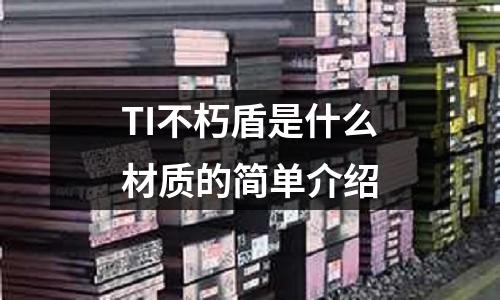 TI不朽盾是什么材質的簡單介紹