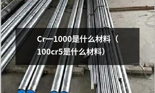 Cr一1000是什么材料（100cr5是什么材料）