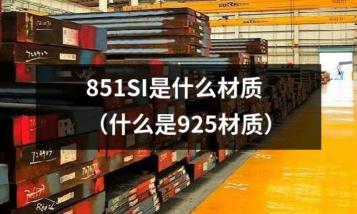 851SI是什么材質(zhì)(什么是925材質(zhì))
