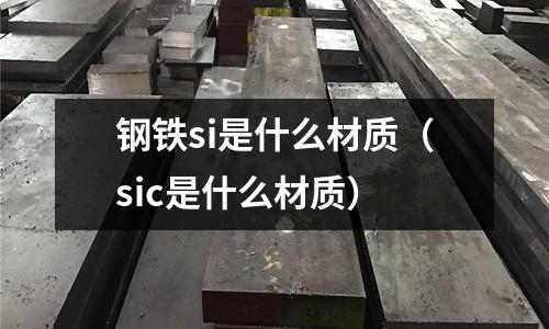 鋼鐵si是什么材質(sic是什么材質)