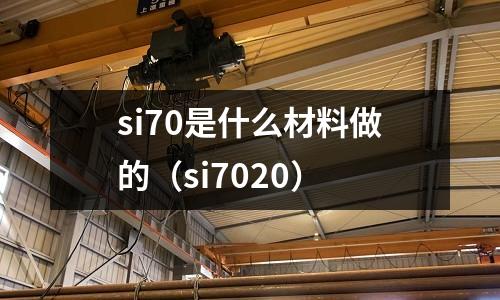 si70是什么材料做的(si7020)