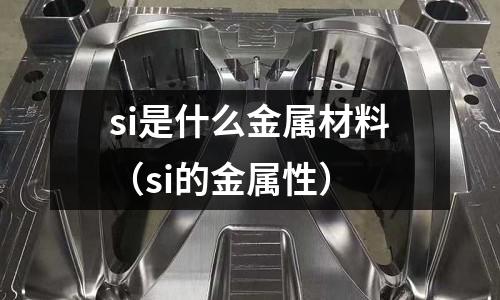 si是什么金屬材料(si的金屬性)