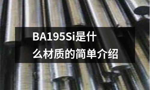 BA195Si是什么材質的簡單介紹