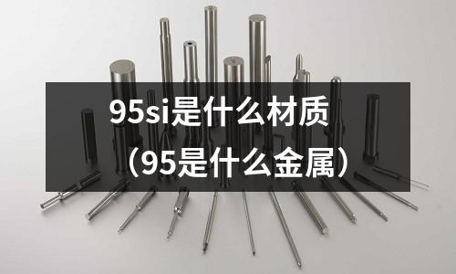 95si是什么材質(zhì)(95是什么金屬)