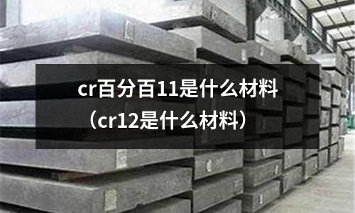 cr百分百11是什么材料（cr12是什么材料）