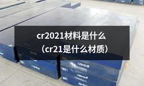 cr2021材料是什么(cr21是什么材質(zhì))