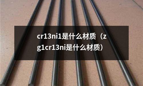 cr13ni1是什么材質(zg1cr13ni是什么材質)