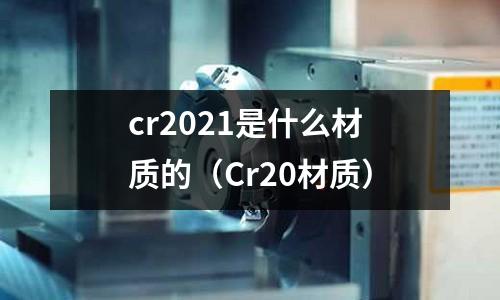 cr2021是什么材質的（Cr20材質）