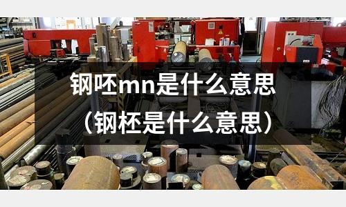 鋼呸mn是什么意思（鋼柸是什么意思）