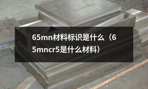65mn材料標(biāo)識(shí)是什么(65mncr5是什么材料)