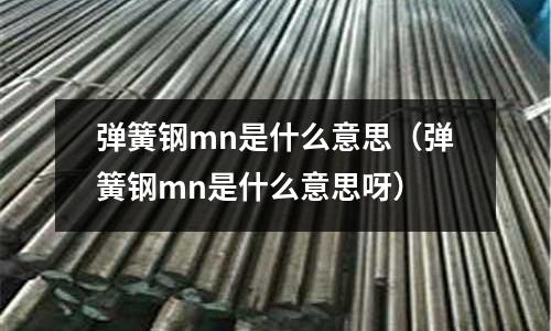 彈簧鋼mn是什么意思（彈簧鋼mn是什么意思呀）