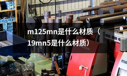 m125mn是什么材質(19mn5是什么材質)