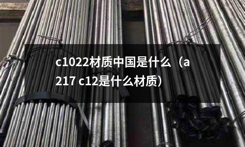 c1022材質中國是什么（a217 c12是什么材質）