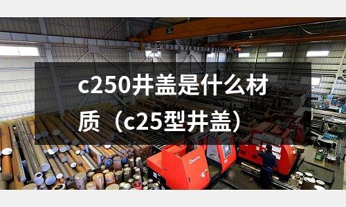 c250井蓋是什么材質(c25型井蓋)