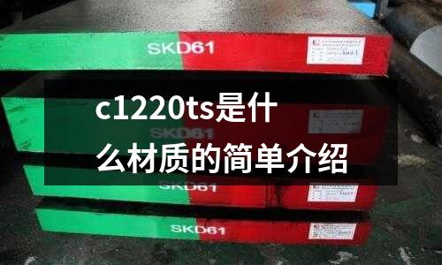 c1220ts是什么材質的簡單介紹