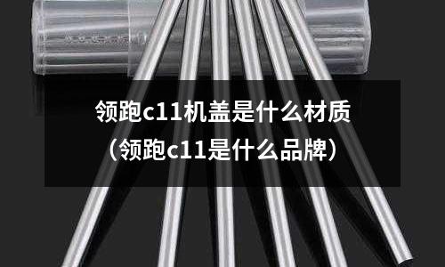 領(lǐng)跑c11機(jī)蓋是什么材質(zhì)（領(lǐng)跑c11是什么品牌）