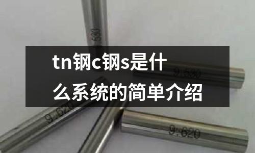 tn鋼c鋼s是什么系統(tǒng)的簡(jiǎn)單介紹