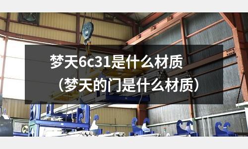 夢天6c31是什么材質(夢天的門是什么材質)