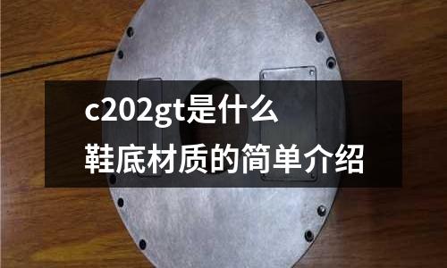 c202gt是什么鞋底材質的簡單介紹