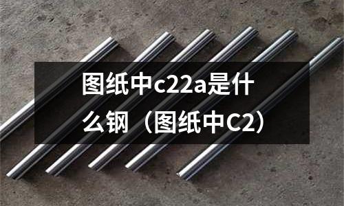 圖紙中c22a是什么鋼(圖紙中C2)