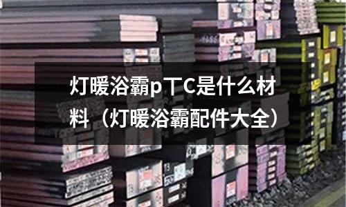 燈暖浴霸p丅C是什么材料(燈暖浴霸配件大全)