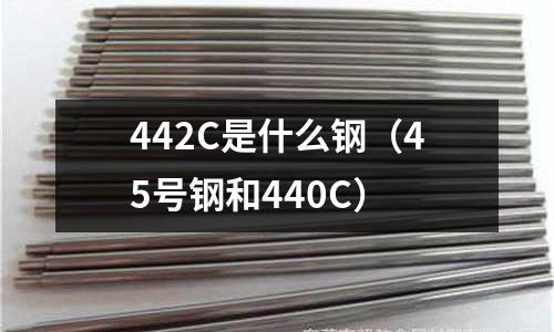 442C是什么鋼(45號鋼和440C)