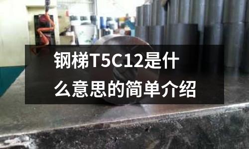鋼梯T5C12是什么意思的簡單介紹