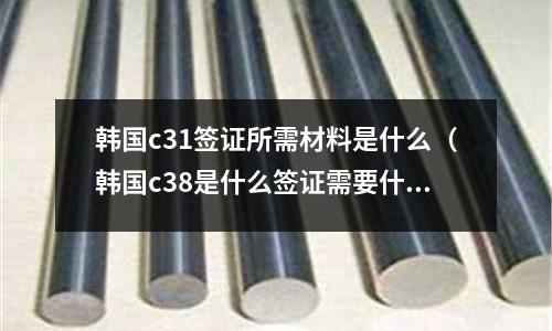 韓國c31簽證所需材料是什么(韓國c38是什么簽證需要什么材料?)