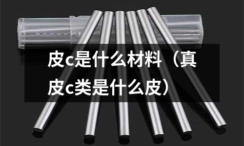 皮c是什么材料（真皮c類是什么皮）